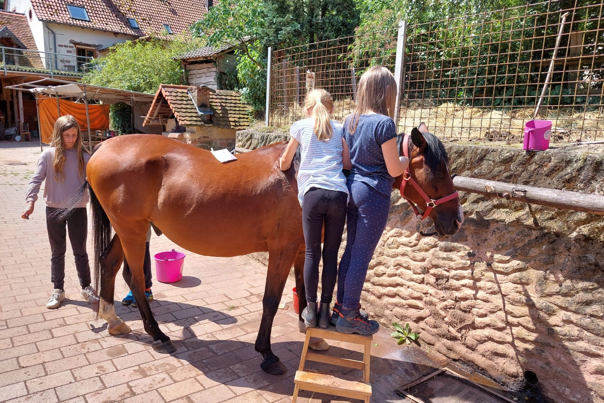 Rund ums Pferd (RuPf) Kinder