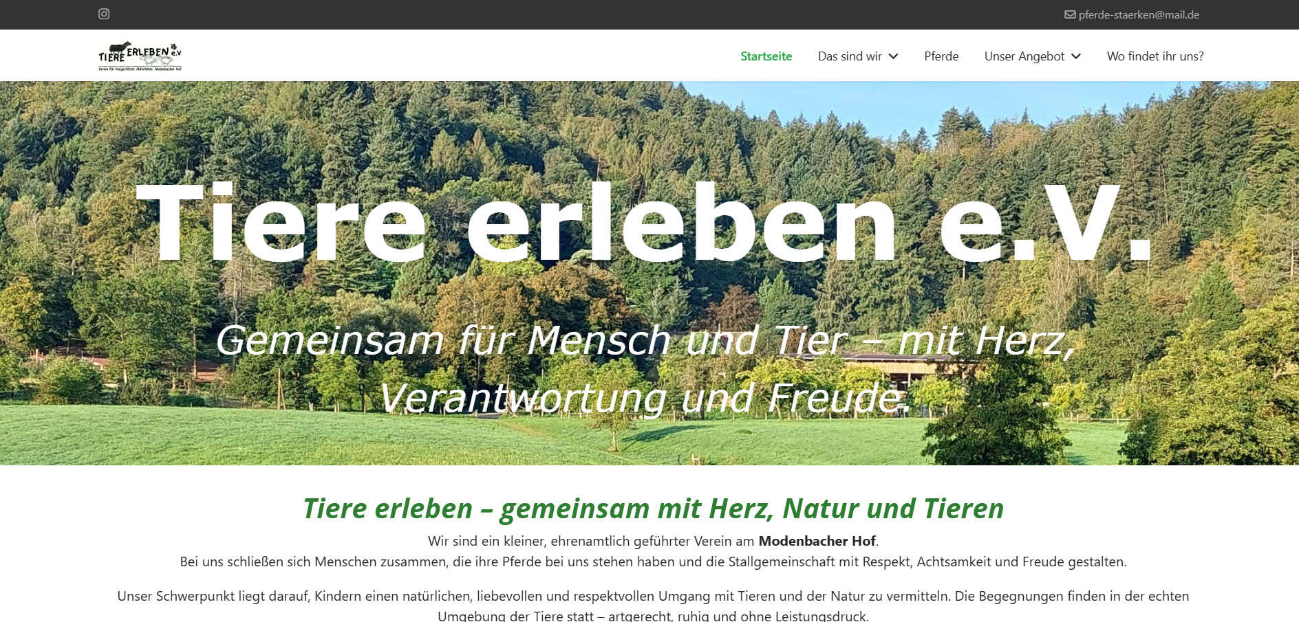 Alt Text